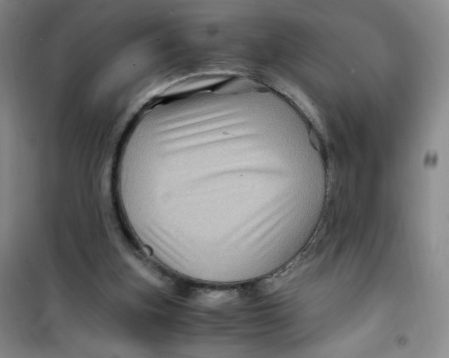 X0000100950155200807221129