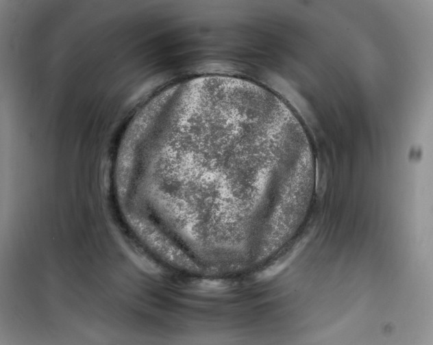 X0000100950157200807221129