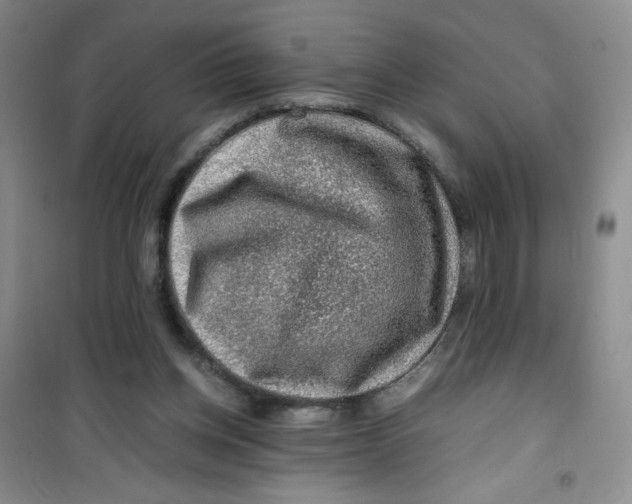 X0000100950158200807221129