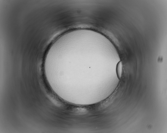 X0000100950159200807221129