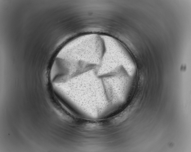 X0000100950160200807221129