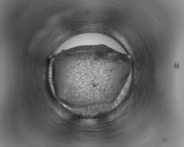 X0000100950161200807221129