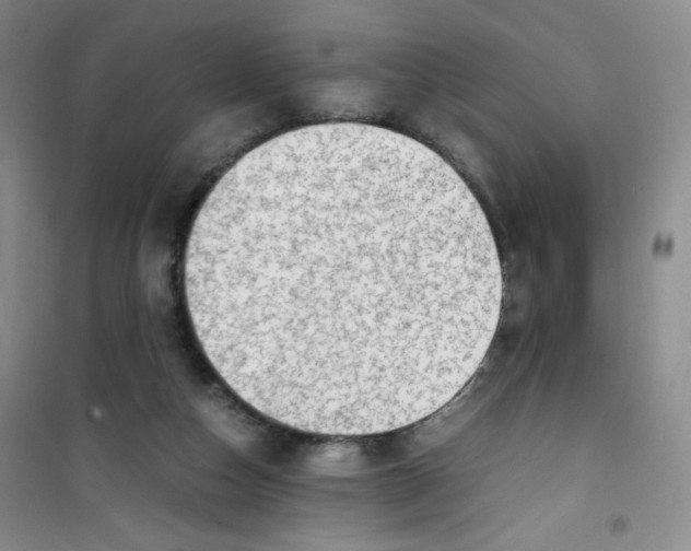 X0000100950162200807221129