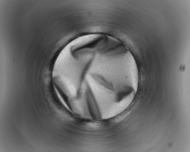 X0000100950164200807221129