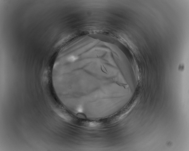 X0000100950165200807221129