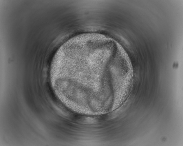 X0000100950166200807221129