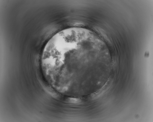 X0000100950167200807221129