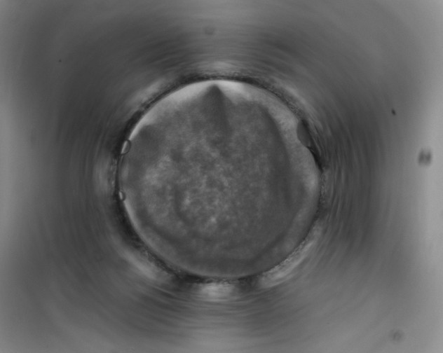 X0000100950168200807221129