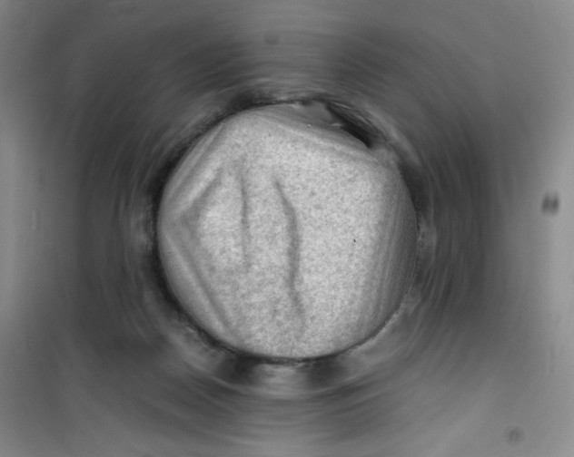 X0000100950170200807221129