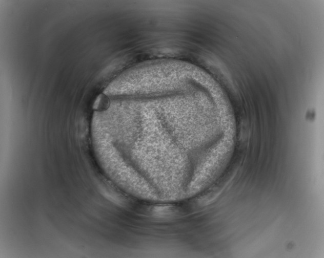 X0000100950173200807221129