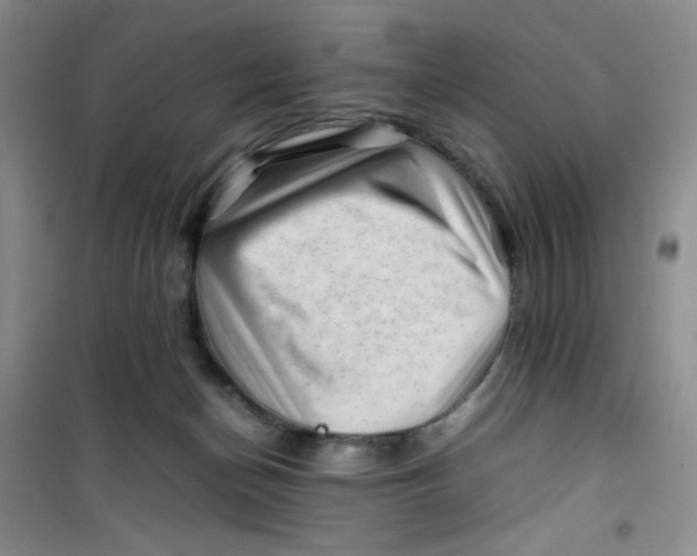 X0000100950174200807221129