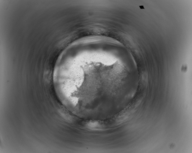 X0000100950177200807221130