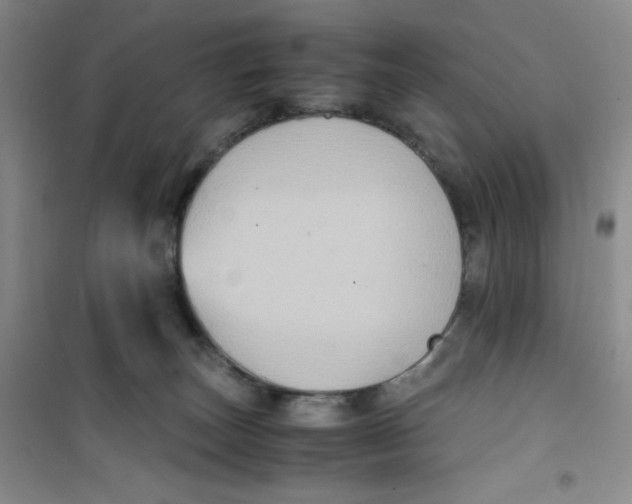 X0000100950179200807221130