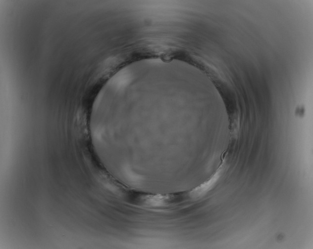 X0000100950182200807221130