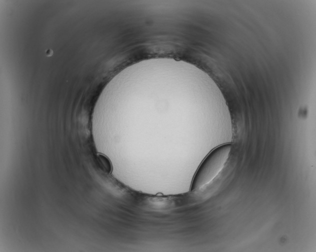 X0000100950187200807221130