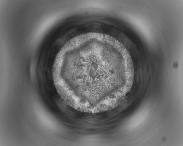 X0000100950189200807221130