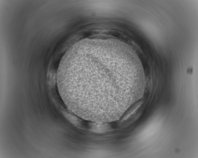 X0000100950191200807221130