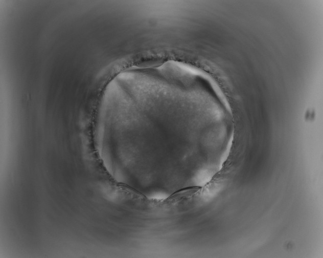 X0000100950192200807221130