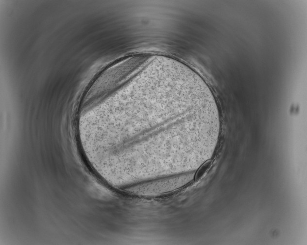 X0000100950193200807221129