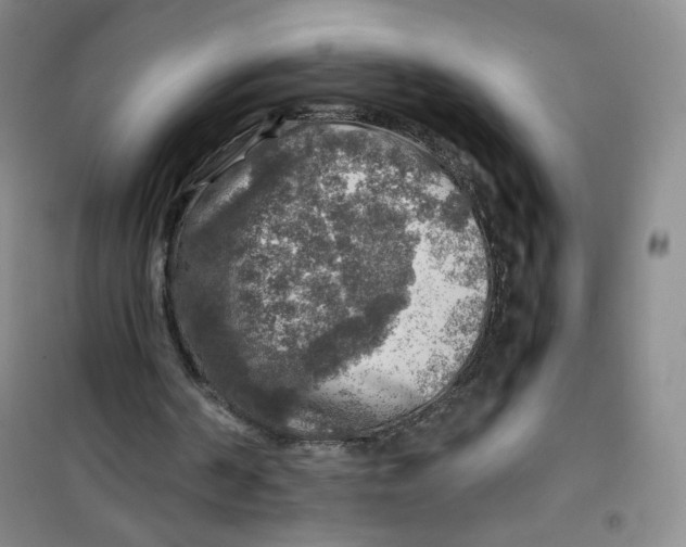 X0000100950194200807221129