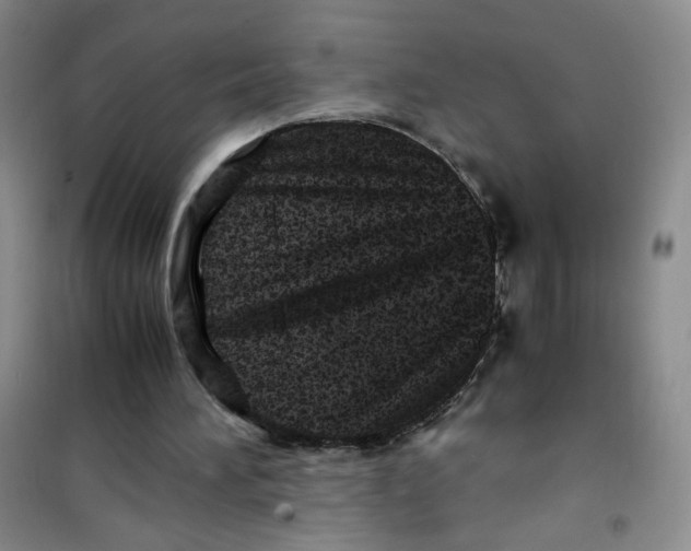 X0000100950196200807221129