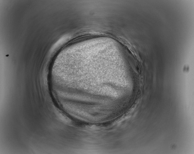 X0000100950197200807221129