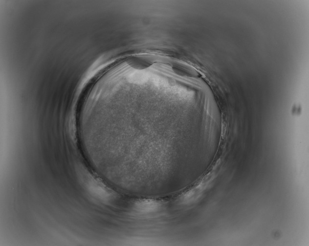 X0000100950198200807221129