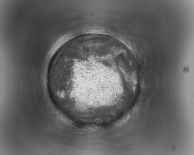 X0000100950199200807221129