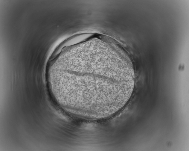 X0000100950200200807221129