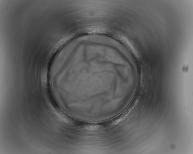 X0000100950202200807221129