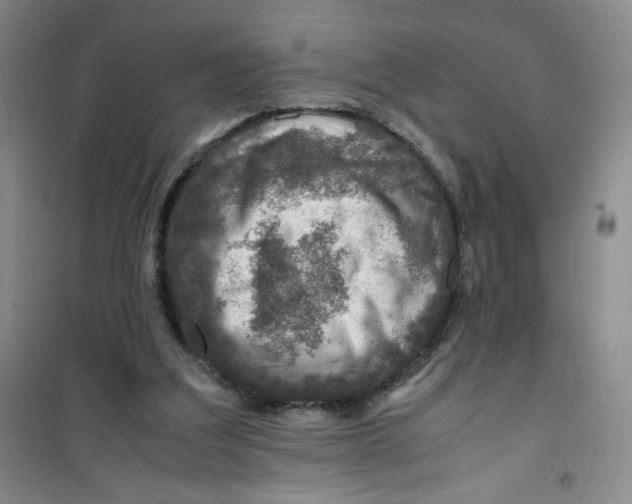 X0000100950203200807221129