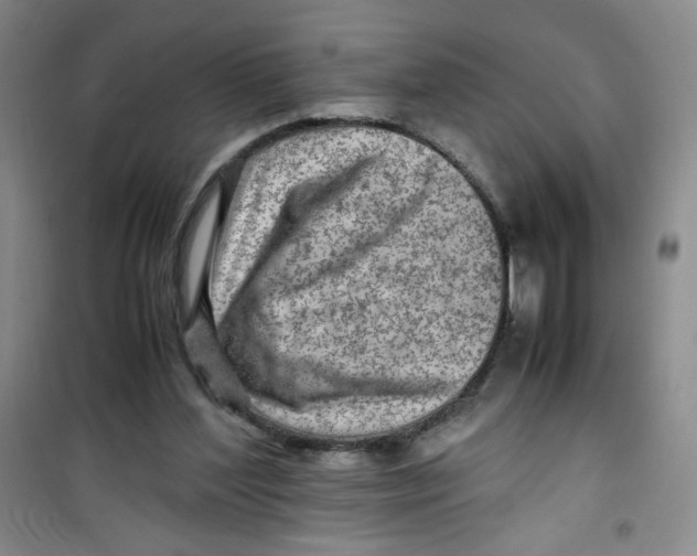 X0000100950204200807221129