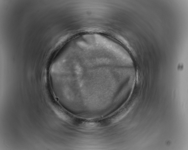 X0000100950205200807221129