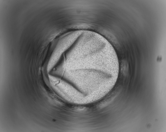 X0000100950206200807221129