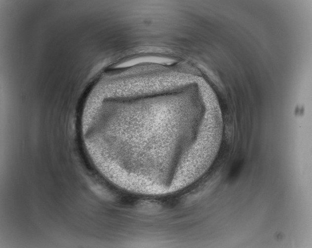 X0000100950207200807221129