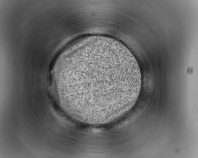 X0000100950208200807221129