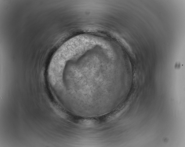 X0000100950209200807221129