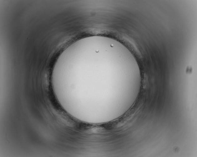 X0000100950210200807221129