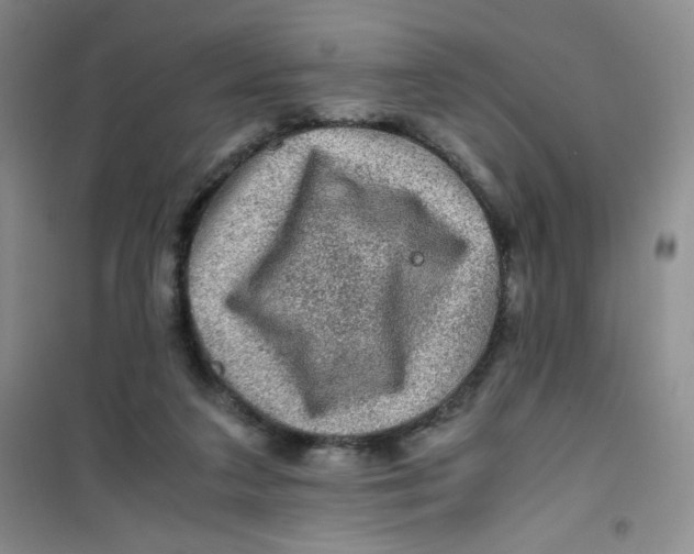 X0000100950211200807221129