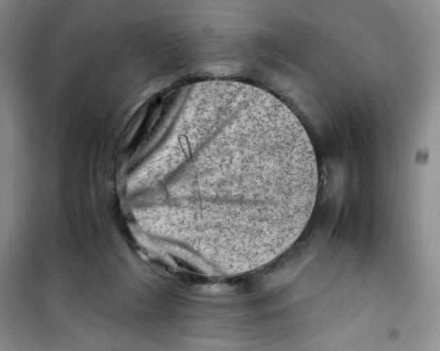 X0000100950212200807221129