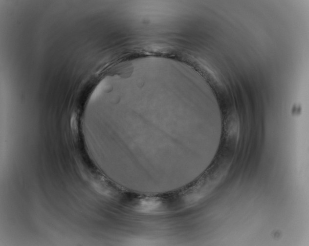 X0000100950214200807221129