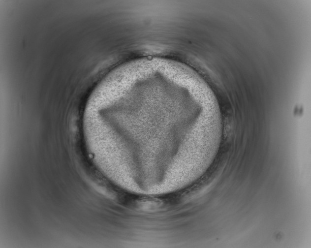 X0000100950215200807221129