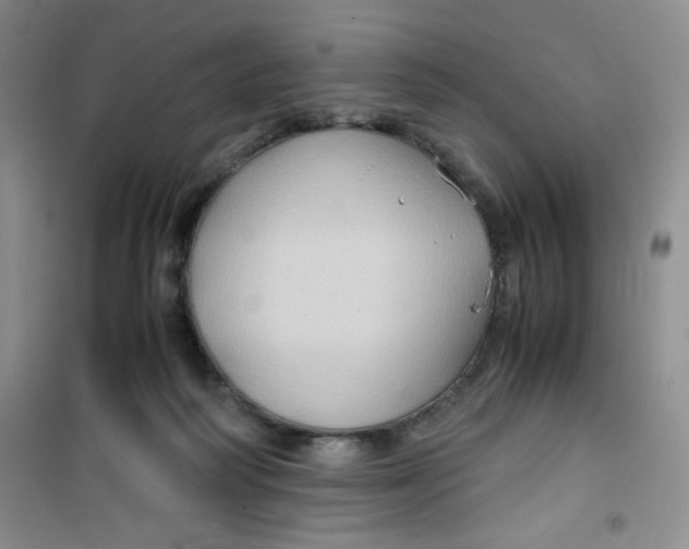 X0000100950218200807221129