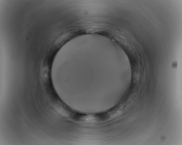 X0000100950219200807221129