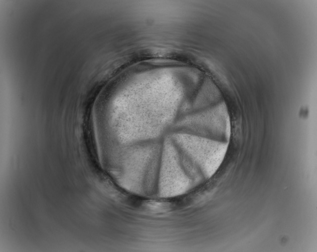 X0000100950221200807221128