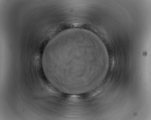 X0000100950222200807221128