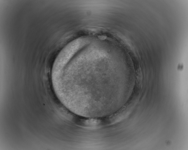 X0000100950225200807221128