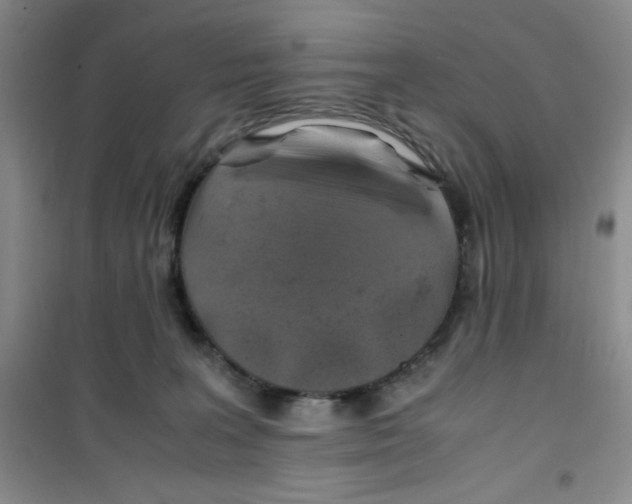 X0000100950227200807221128