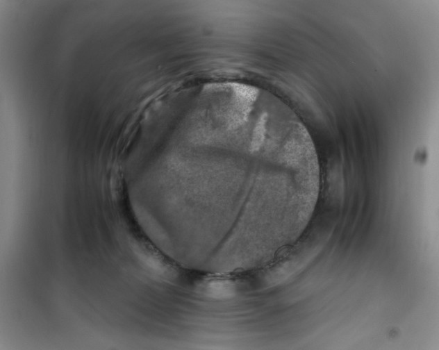 X0000100950228200807221128