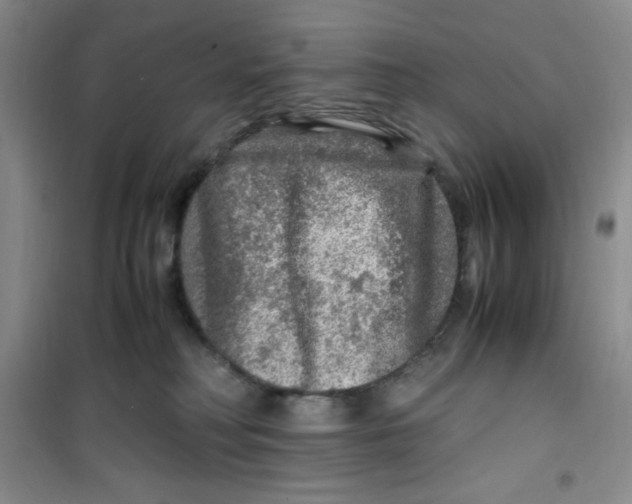 X0000100950230200807221128